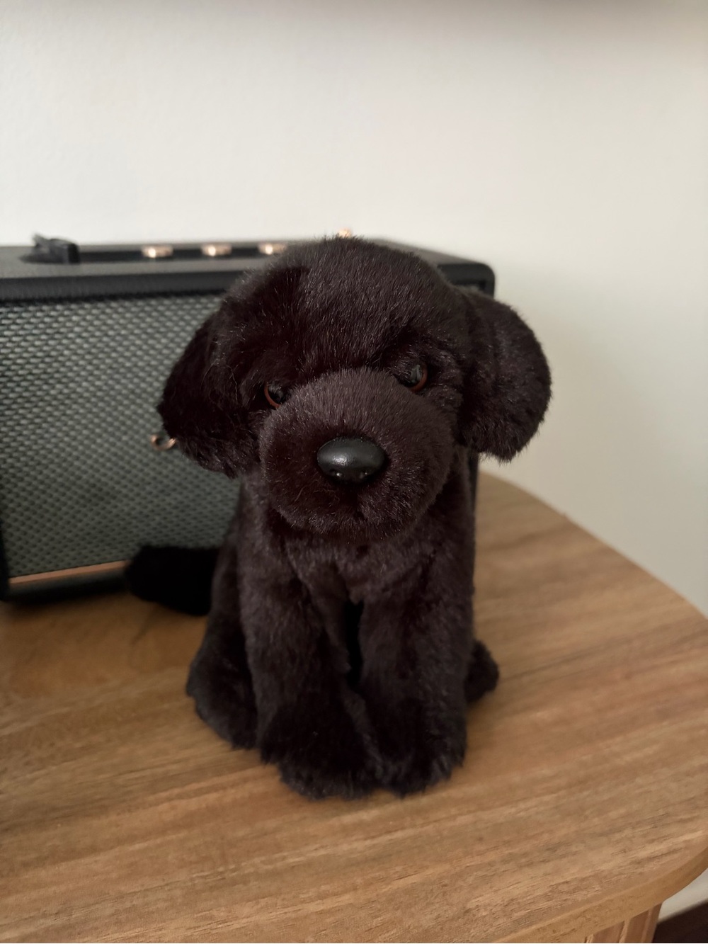 Webkinz Signature Small Black Lab